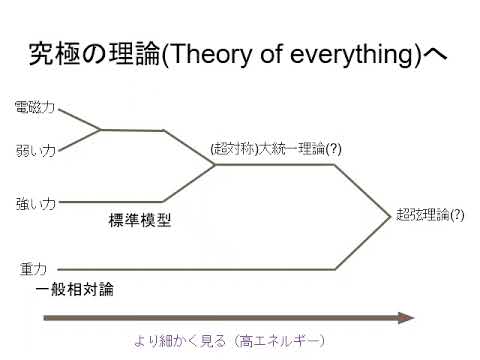 薬学科 研究室紹介｜岸本研究室（共通教育センター）