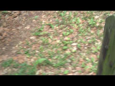 The DRILL! Only real man will survive 3 