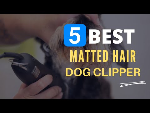 ⭕ Top 5 Best Dog Clippers for Matted Hair 2021 [Review...