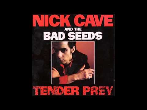 Nick Cave - Tender Prey - Full Album 720p HD
