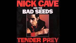 Nick Cave - Tender Prey - Full Album 720p HD