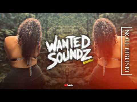 Je M'en Tape [ WellZ Afro Remiix ] 2025