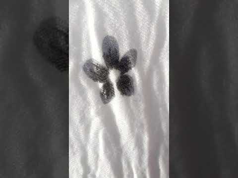 Eco gang bourama (prod by DMG recordz