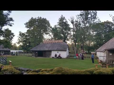 Viki simman 2016(Kõrtsu polka)