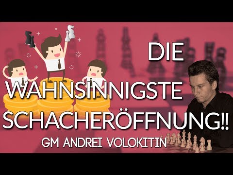 Schach DVD: Wilde Verwicklungen im Najdorf Sizilianisch- GM Andrei Volokitin