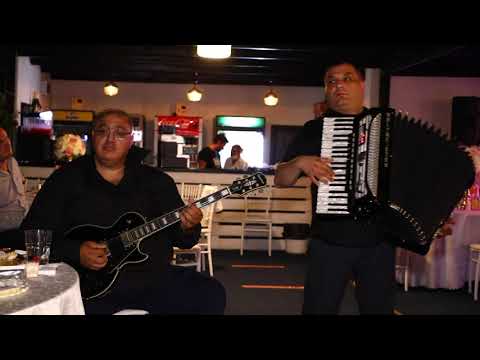 Nicusor Troncea si Nelu Bitina - Colaj Nou 2021 Muzica de petrecere 2021