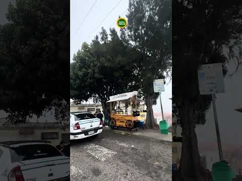 Capacho. Cubierta de neblina, rocío y frío. Táchira. Venezuela.