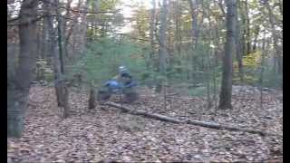 Rise and Fall of Hellraiser