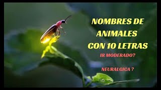 Nombres de Animales con 10 Letras