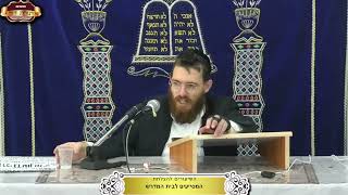 אתרוג שהפסול שבו לא ניכר בהתבוננות רגילה אלא אחרי עיון ¤ הרב משה שרם ¤ ח"י אלול תשפ"ה (11.9.2025) (מוסדות תורת דוד) - התמונה מוצגת ישירות מתוך אתר האינטרנט יוטיוב. זכויות היוצרים בתמונה שייכות ליוצרה. קישור קרדיט למקור התוכן נמצא בתוך דף הסרטון אתרוג שהפסול שבו לא ניכר בהתבוננות רגילה אלא אחרי עיון ¤ הרב משה שרם ¤ ח"י אלול תשפ"ה (11.9.2025) (מוסדות תורת דוד) - התמונה מוצגת ישירות מתוך אתר האינטרנט יוטיוב. זכויות היוצרים בתמונה שייכות ליוצרה. קישור קרדיט למקור התוכן נמצא בתוך דף הסרטון