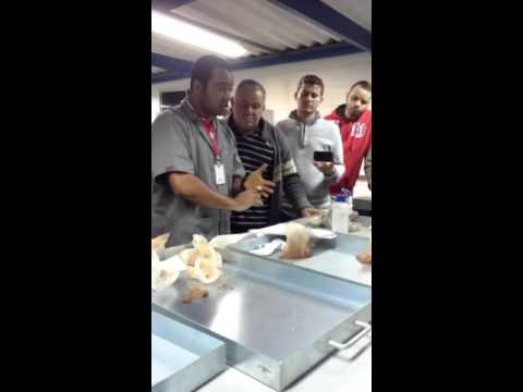 Ensaio de análise visual e tátil do solo