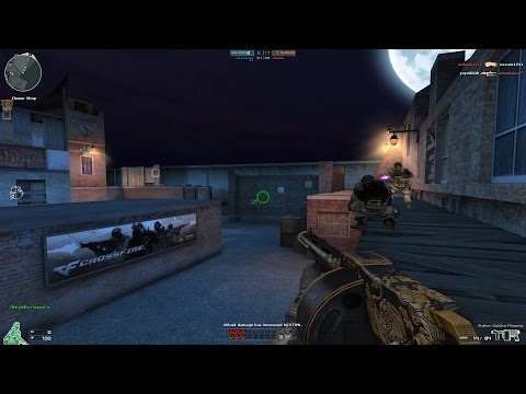 Crossfire NA: Armsel Striker-Oriental Phoenix (Golden Phoenix)