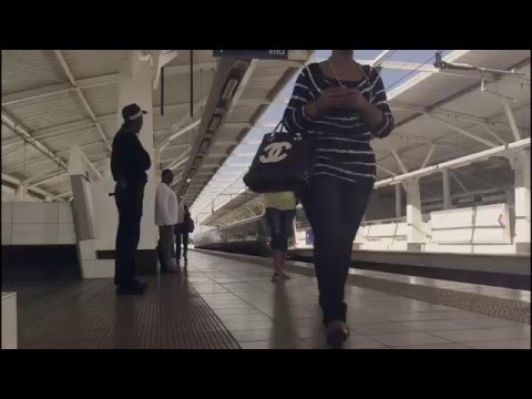 Leaning Into The Wind (Lyric Video)