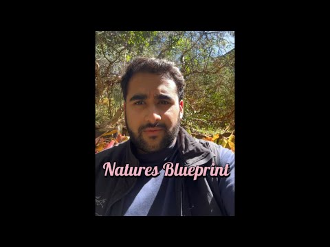 Ahmad Dayyan Ecology Excitement 1 : ENVE4405