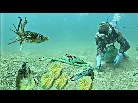 Diving to capture seafood to make money to support the family