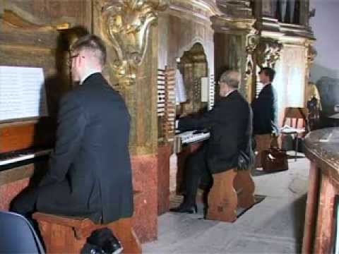 Organo di Donato Del Piano, Luigi Ferdinando Tagliavini, Carmelo Scandura, Angelo Gallotta organisti