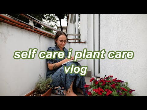 , title : '💚 Dlaczego musisz mieć rośliny domowe? SELF CARE kwiaty doniczkowe balkon dżungla w domu'