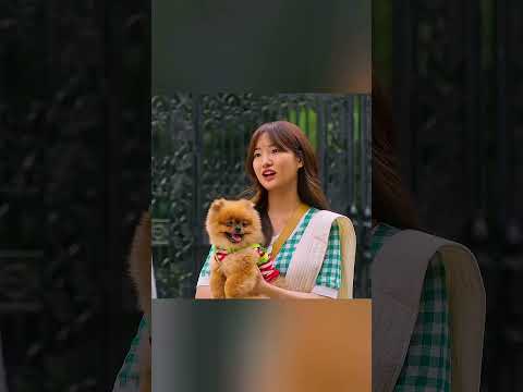 Babcia z pogranicza Indii i Pakistanu pokonana przez szczeniaka!