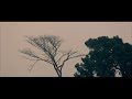 Masranga | মাছরাঙা | by Shohojia (official music video)