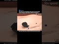 Tiny Magnetic Robot Could Perform Surgery Inside the Human Body #robot #biotechnology #medical