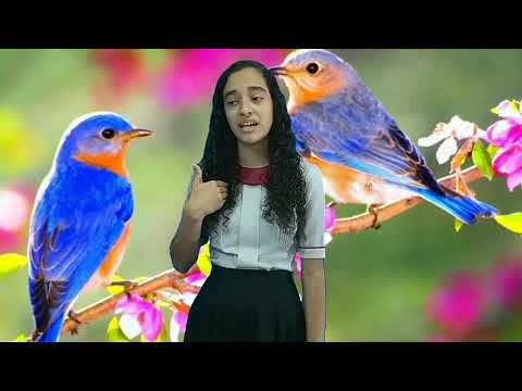 Satisfeito Com Cristo - Harpa Cristã