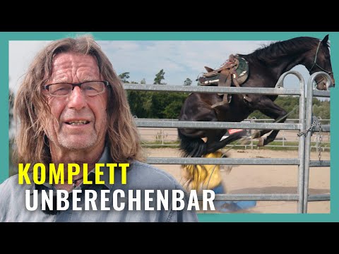 Gifted horse turns out to be life-threatening