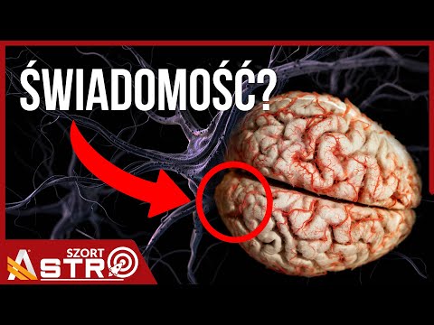 Trace of Consciousness Found in the Brain? New Findings - AstroShort