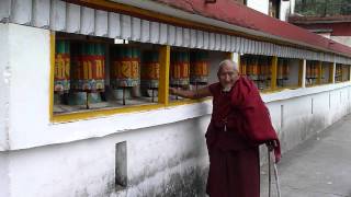 preview picture of video 'Inde 2010 : Dharamsala - Moine bouddhiste'