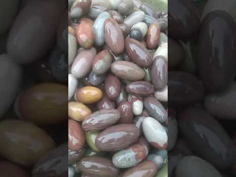 आखिर नर्मदा नदी के शिवलिंग इतने गोल और चिकने कैसे होते हैं दुर्लभ सुंदर शिवलिंग ct: 9301770421