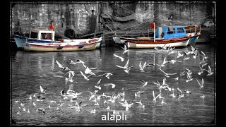 Batı Karadeniz'in İncisi ALAPLI....