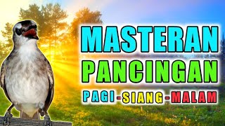 Download lagu PANCINGAN DAN MASTERAN TRUCUK ROPEL BIAR TRUCUKAN BUNYI GACOR PAGI SIANG DAN MALAM mp3 Download lagu PANCINGAN DAN MASTERAN TRUCUK ROPEL BIAR TRUCUKAN BUNYI GACOR PAGI SIANG DAN MALAM mp3