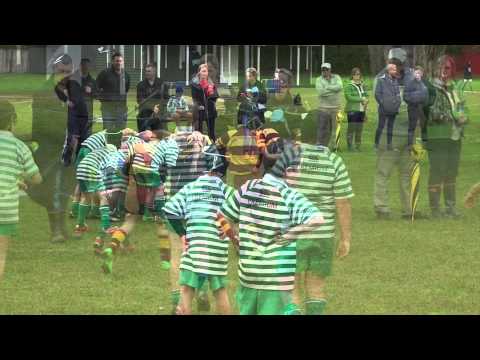J5 Rugby Northcote Gold V North Shore White 15th August 2015