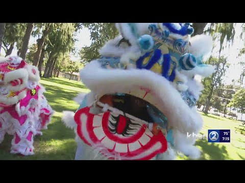 Lion dance teams bring good luck for Lunar New Year