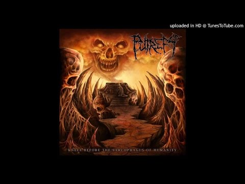 Putrefy – Wading Through Human Blood