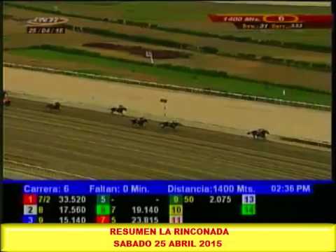 RESUMEN LA RINCONADA SABADO 25 ABRIL 2015