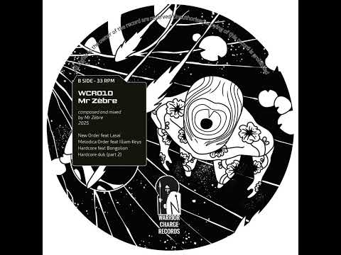 Mr Zebre - A Path in Between (12" vinyl version) - side B (preview)