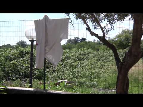 Senza frontiere - Casa di Betania - NABA