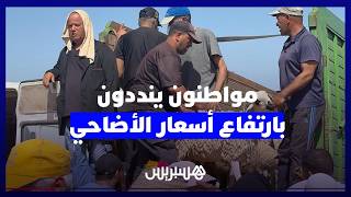 قبل العيد.. مواطنون بالقنيطرة يشتكون ارتفاع أسعار الأضاحي وضعف القدرة الشرائية thumbnail