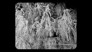 White Flowers – “Help Me Help Myself”