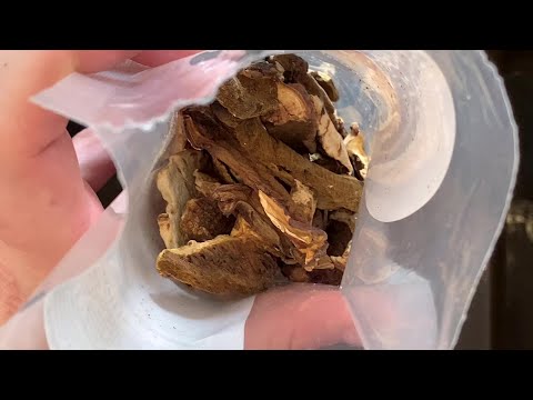 How to Use Dried Mushrooms
