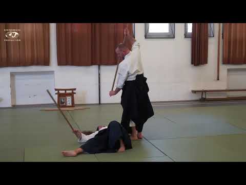 Aikido Kumijo Stéphane Goffin