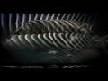Vauxhall Zafira (2005 - 2014) Review Video