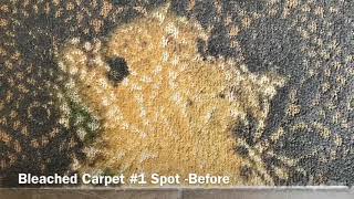 How To Remove Bleach Stain On Carpet by DyeBold Carpet Dyeing