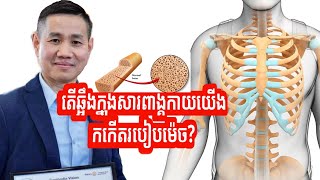 ការកកើតឆ្អឹងក្នុងសារពាង្គកាយយើង | Education Reveal