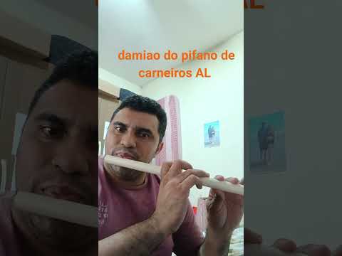 Damiao do pifanos de carneiros AL