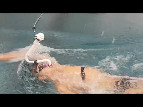 Vidéo — Metaswim en bassin à contre-courant