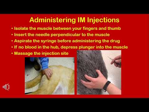 Dr. Sara May, Allergy and Immunology