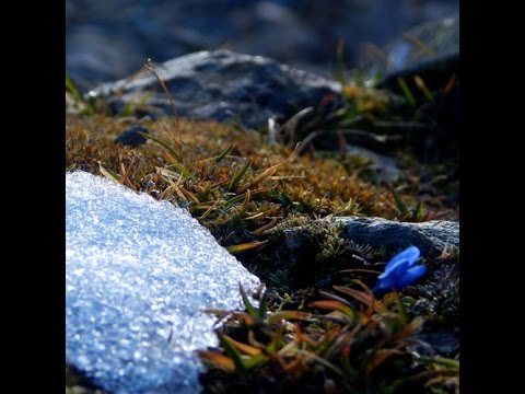 Lo.Renzo - Full love (official video)