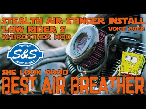 M8 Low Rider S S&S Stealth Air Stinger Air Filter Install With External Air Breather Mod