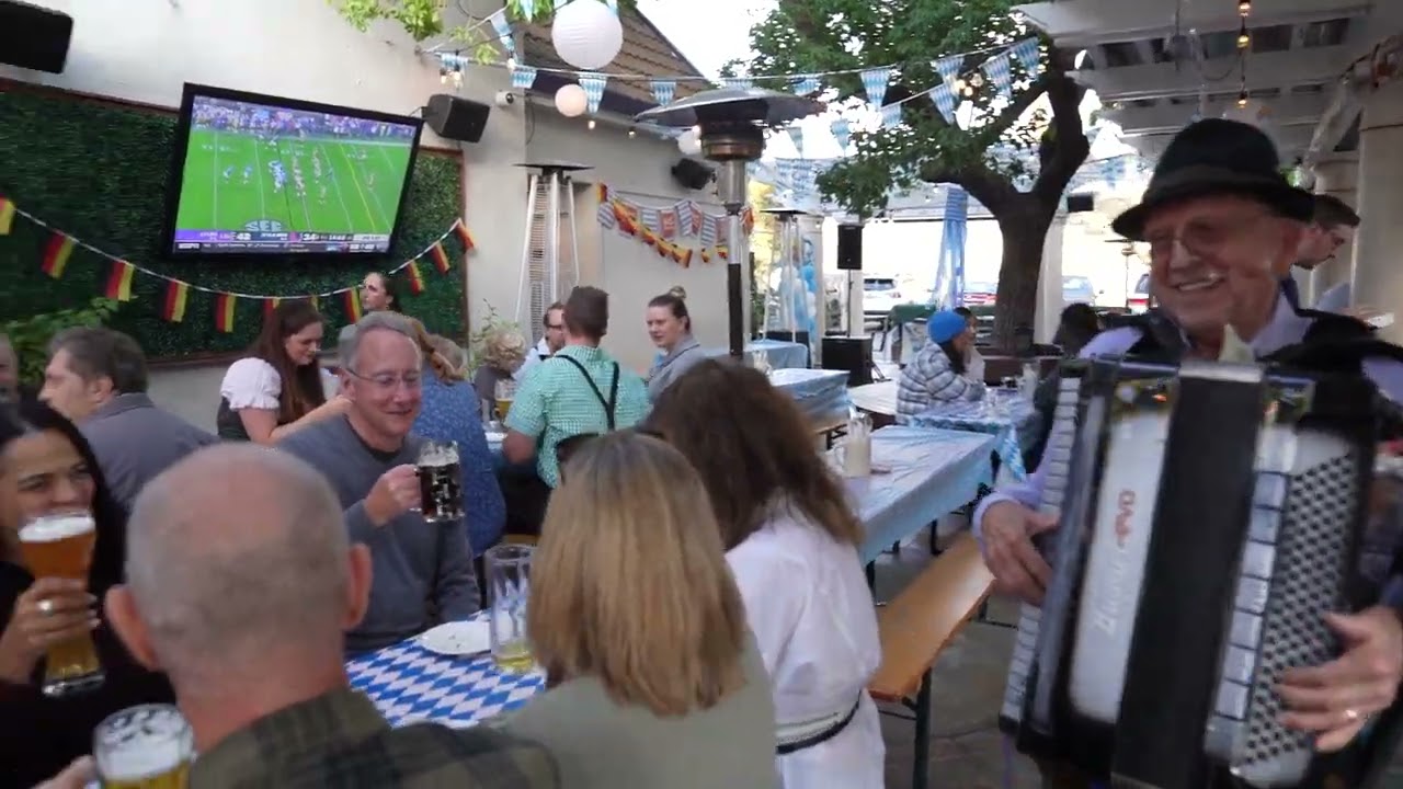 Promotional video thumbnail 3 for Joe Domitrowich/Capricious Accordion